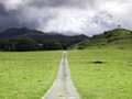 Road from Hana