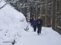 Hiking into the Snow Monkey Park