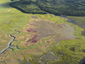 Aerial Landscape Along Cook Inlet