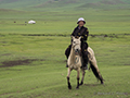 Mongolian horseman