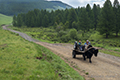 Father and son with ox cart, Mongolia