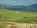 Mongolian Landscape