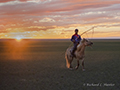 Mongolian horseman, Gobi Desert