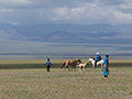 Horseman, Naadam Festival, Mongolia