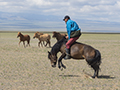 Horseman, Naadam Festival, Mongolia