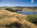 Carcass Island, Falklands