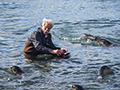 Photographing Fur Seals in Stomness Harbour