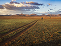 Desert Rhino Camp Morning Landscape