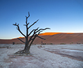 Deadvlei, Namib Desert