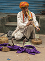 Snake Charmer in Old Delhi