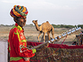 Musician/Storyteller on Outskirts of Jodhpur