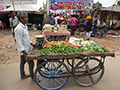 Vendor at Pushkar Camel Fair