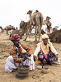 Snake Charmer at Pushkar Camel Fair