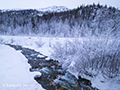 Stream in Winter Landscape