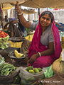 Vegetable Merchant in Ranthambhore 
