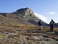 Melville Bay, Greenland