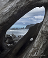 Rialto Beach