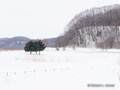 Shiretoko Peninsula, Hokkaido, Japan