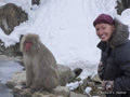 Snow Monkey (Japanese Macaque) with Liz