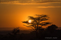 Sunrise in the Northern Serengeti