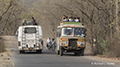 Buses near Ranthambhore