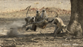 Angry Gray Langur with Infant