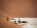 Deadvlei, Namibia