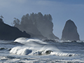 Wind-Swept Waves at First Beach