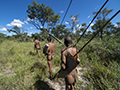 Bushman (San) Tribesmen on a Hunt