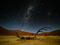 Deadvlei, Namib Desert