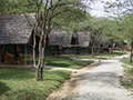 Tarangire Tent Camp Resort