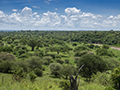 View from Tarangire Tent Camp