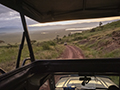 Driving Down inro Ngorongoro Crater