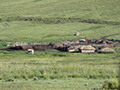 Maasai Village