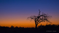 Sunset at Selinda, Botswana