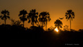 Sunset at Selinda, Botswana