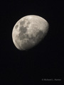 Moon Over Chitabe, Botswana