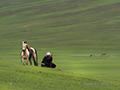 Horseman checking his herd, Mongolia