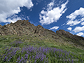 Yol Valley, Gobi, Mongolia