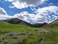 Yol Valley, Gobi, Mongolia