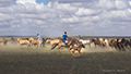 Horseman, Naadam Festival, Mongolia