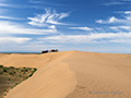 Camels, Gobi Desert, Mongolia