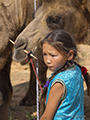 Handling the Camels, Gobi, Mongolia