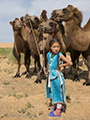 Handling the Camels, Gobi, Mongolia