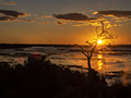 Chobe River at Sunset, Botswana