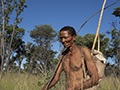 Bushman (San) Tribesman