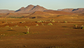 Desert Rhino Camp Landscape at Sunset