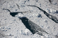 Fjord Ice from the Jakobshavn Glacier, Ilulissat, Greenland