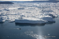 Ice in Disko Bay, Ilulissat, Greenland