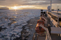 M/V National Geographic Explorer in the Ice